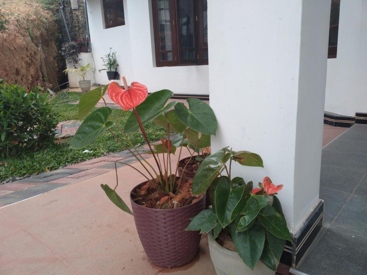 Holly House Homestay 엘라 외부 사진