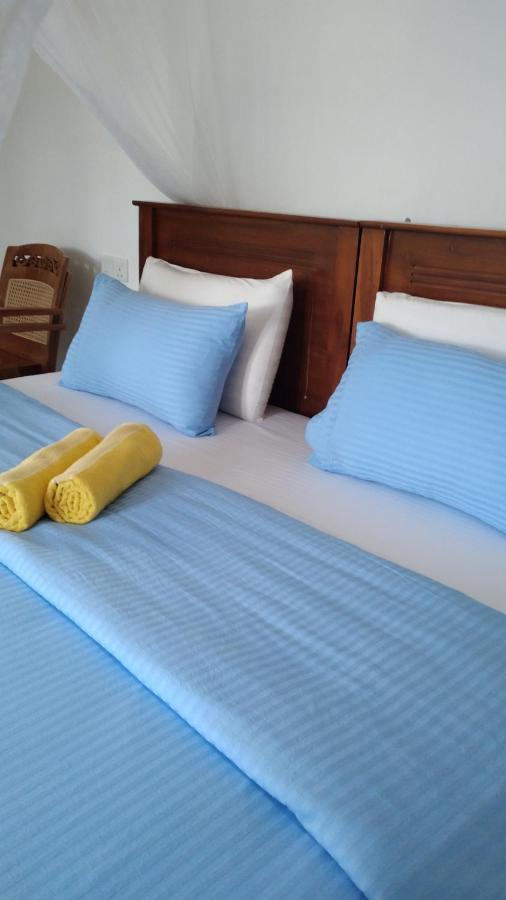 Holly House Homestay 엘라 외부 사진